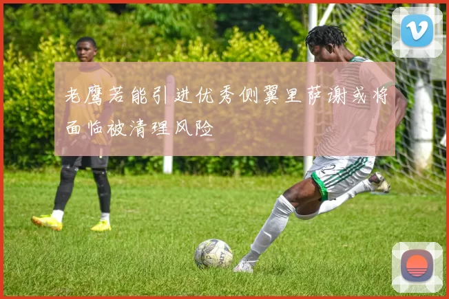 老鹰若能引进优秀侧翼里萨谢或将面临被清理风险