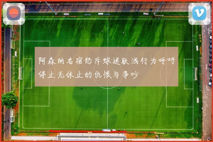阿森纳名宿怒斥球迷肤浅行为呼吁停止无休止的仇恨与争吵