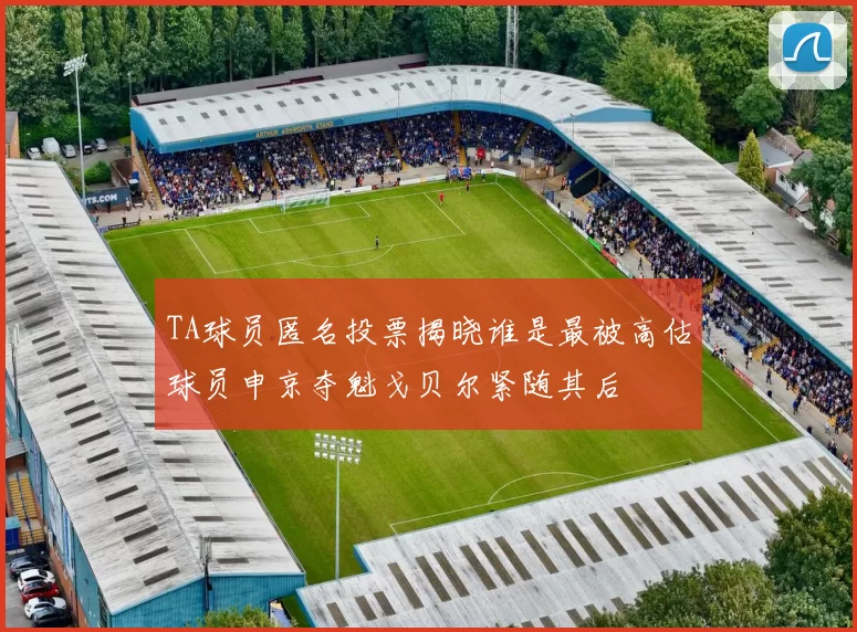 TA球员匿名投票揭晓谁是最被高估球员申京夺魁戈贝尔紧随其后